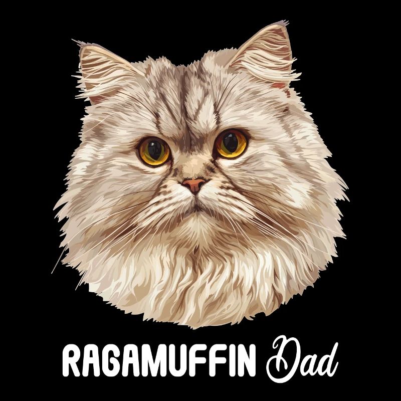 Ragamuffin Kätzchen Ragamuffin Katze
