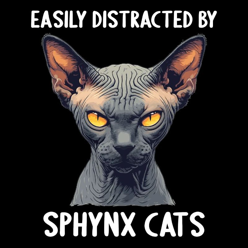 Sphynx Kitten Sphynx Cat