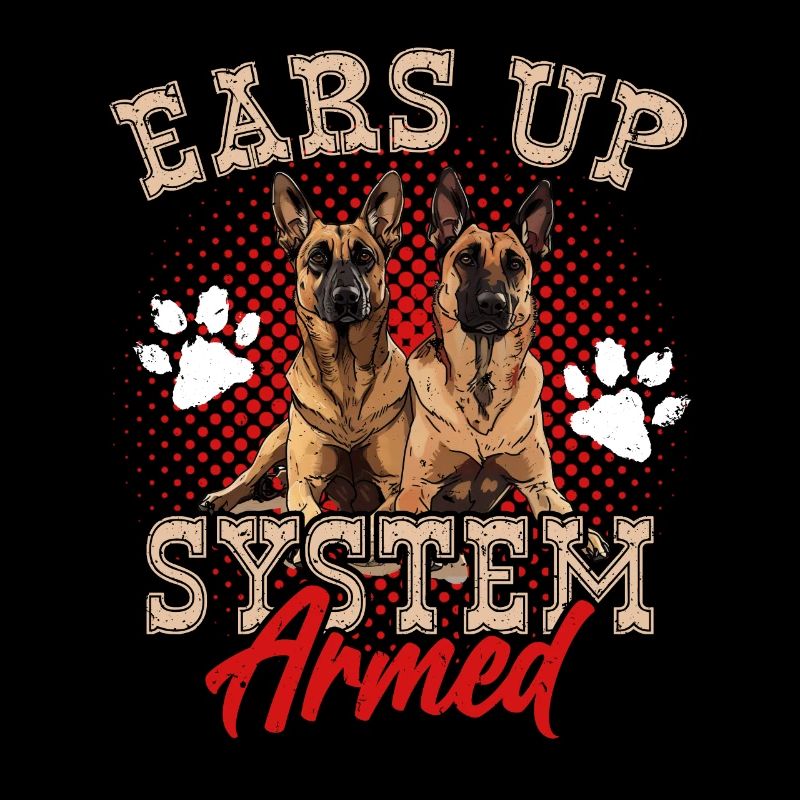 Belgischer Schäferhund EARS UP SYSTEM ARMED Lustig