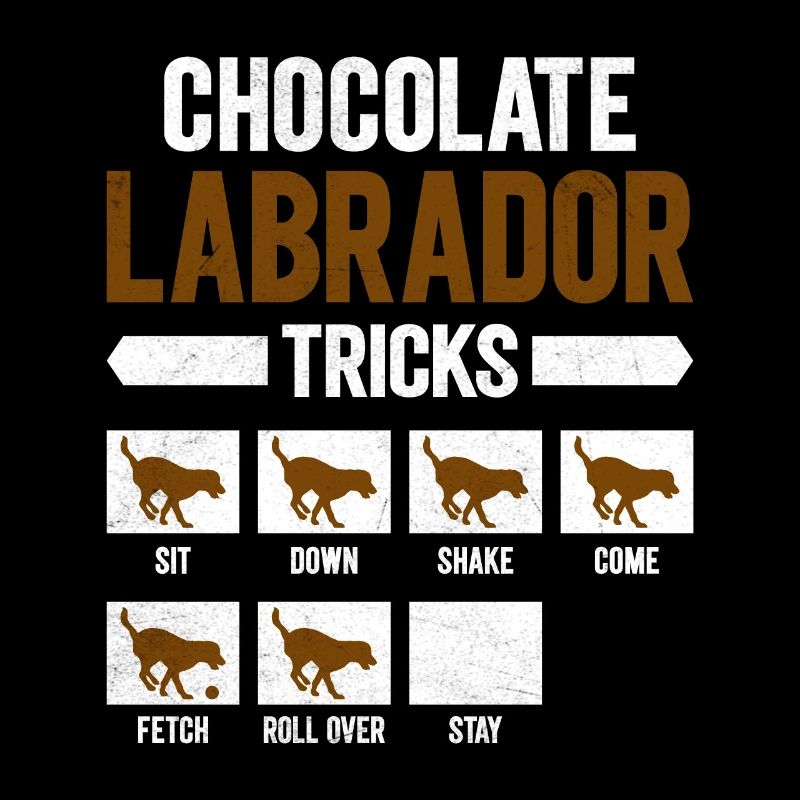 Brauner Labrador CHOCOLATE LABRADOR TRICKS Lustig