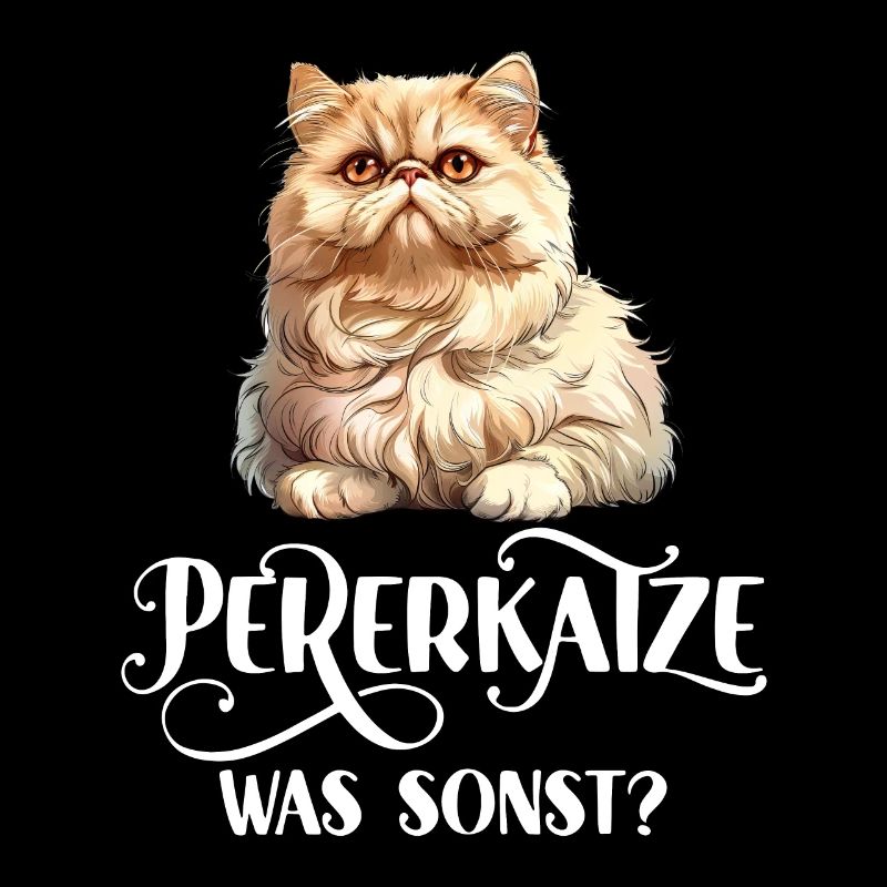 CHAT PERSAN QUOI D’AUTRE ? Chats persans cool
