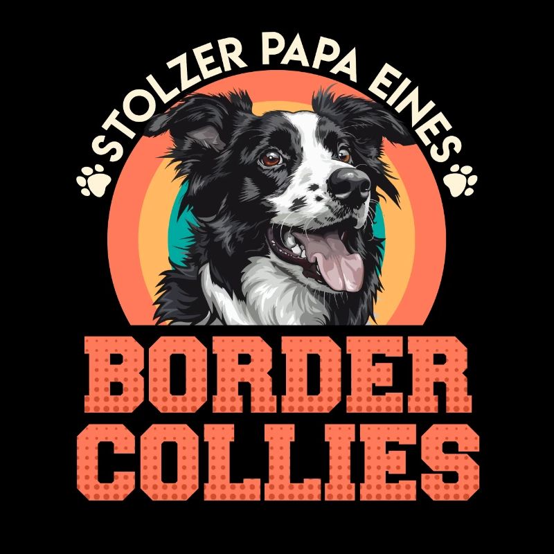 Border Collie STOLZER PAPA EINES BORDER COLLIES