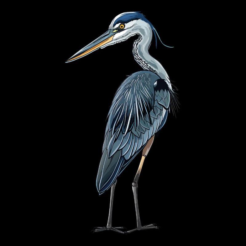 Petit héron bleu