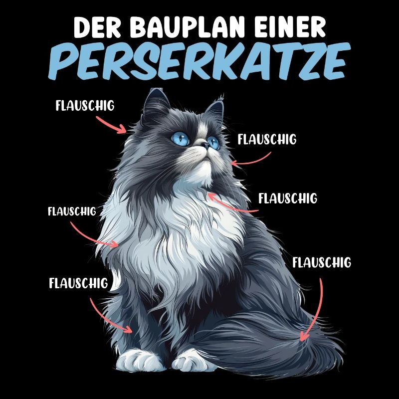 Chats persans LE PLAN D’UN CHAT PERSAN