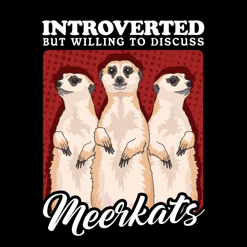 Suricate drôle suricate