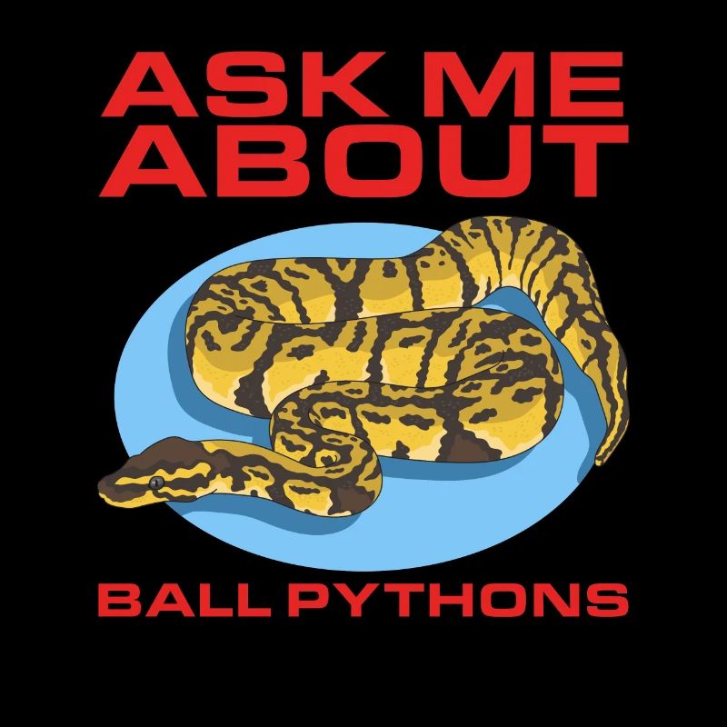 Königspython Python Schlange Geschenke