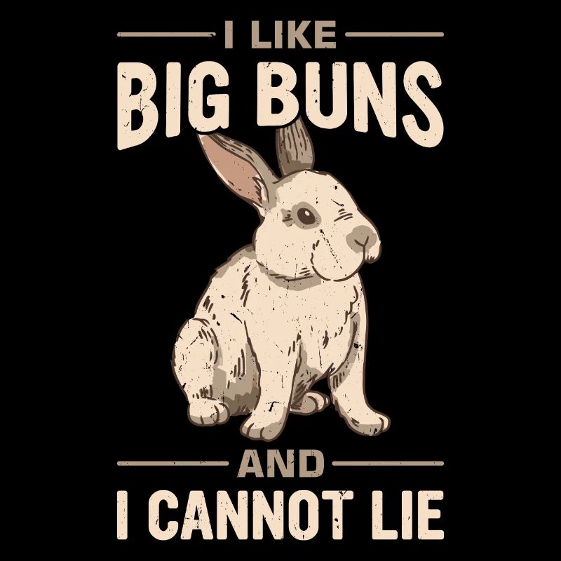 Lapin géant flamand Lapin Lapin