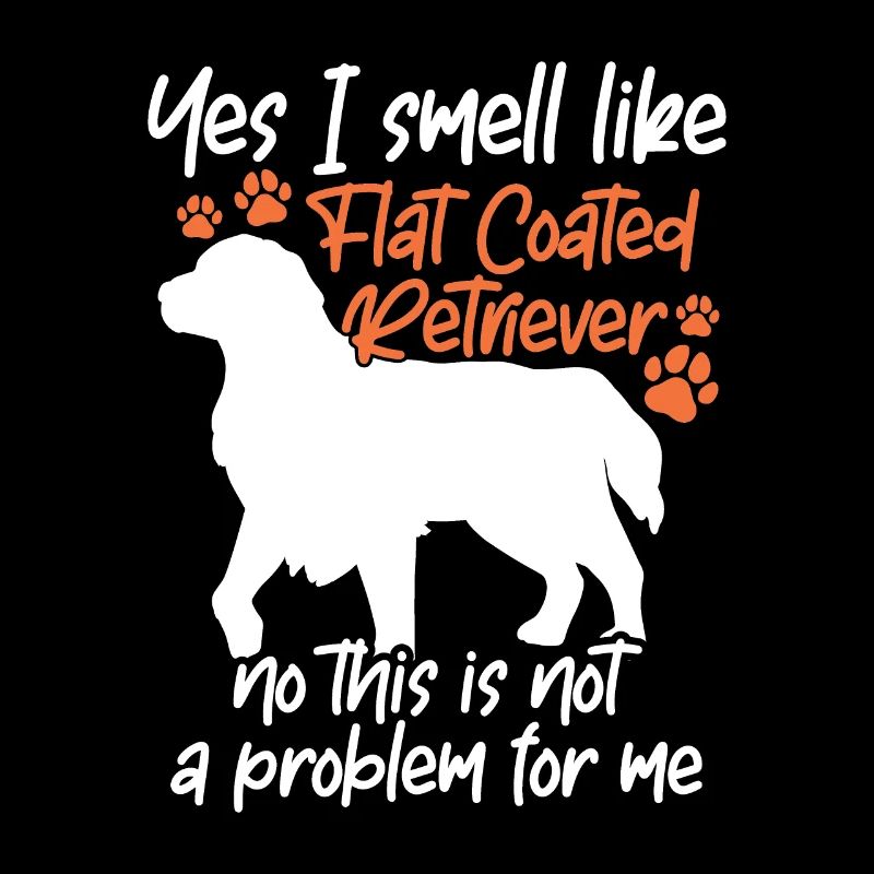 , je sens le Flat Coated Retriever