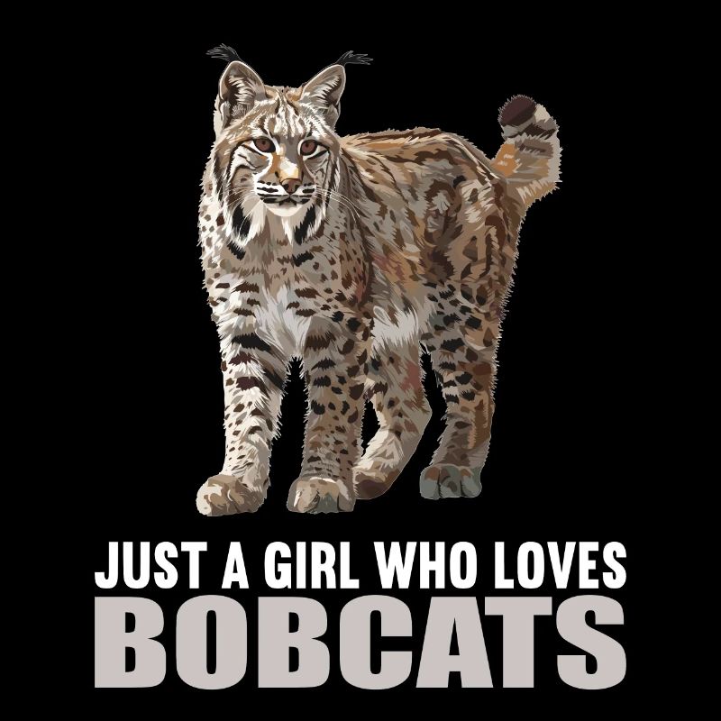 Bobcats Rotluchse Rotluchs Luchs