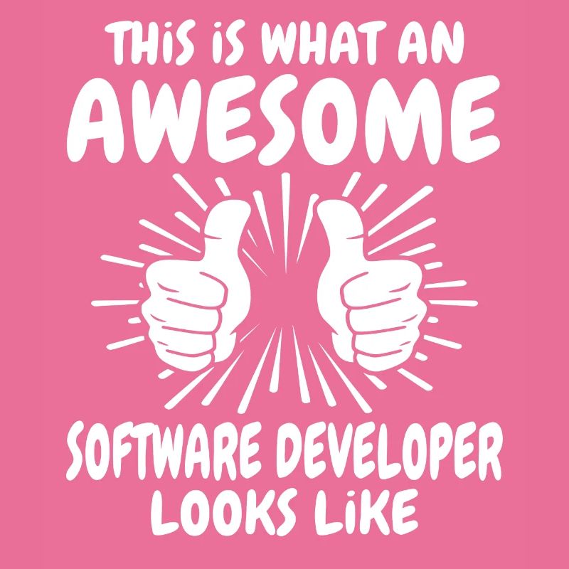 Software Developer