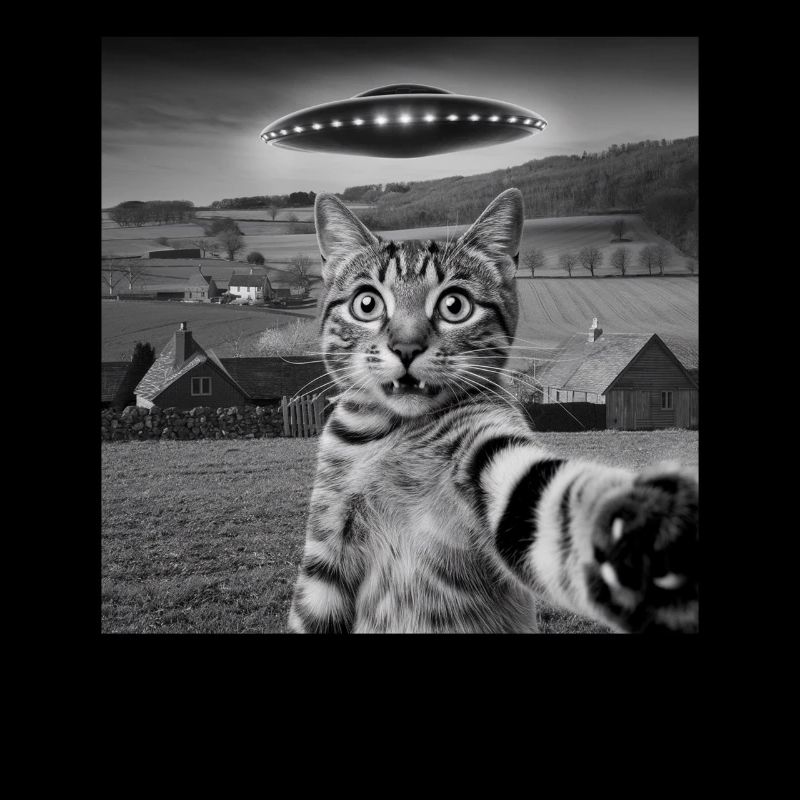 Alien Encounter Cat Selfie