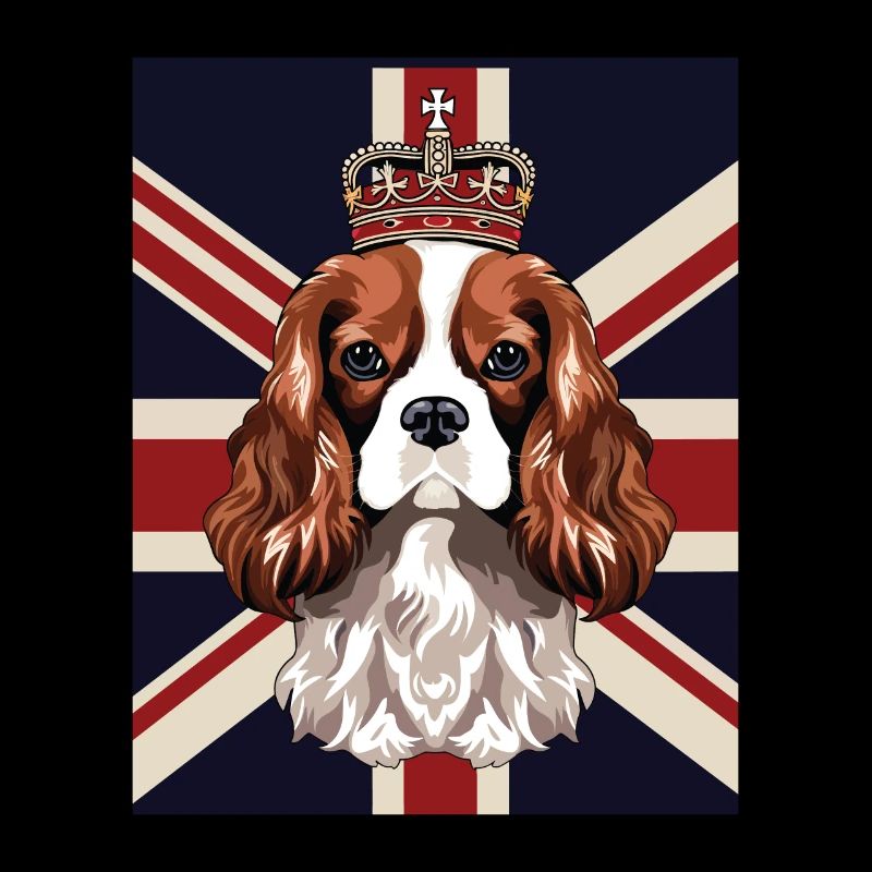King Charles Coronation Spaniel chien