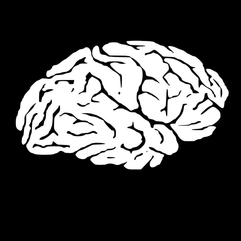 Brain brain