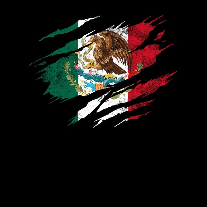 Mexico Flag