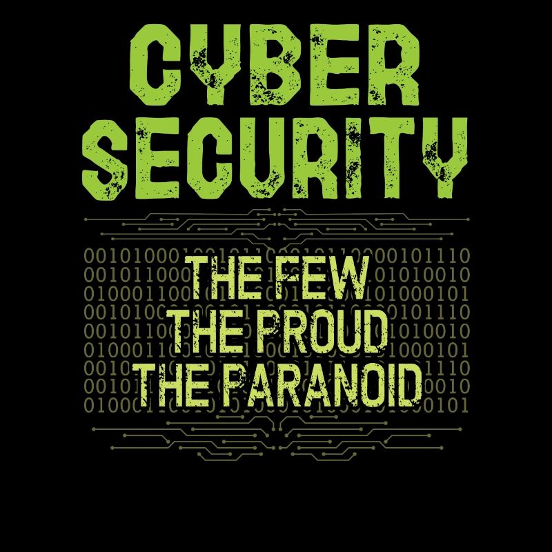 Cyper Security Les rares fiertés de la