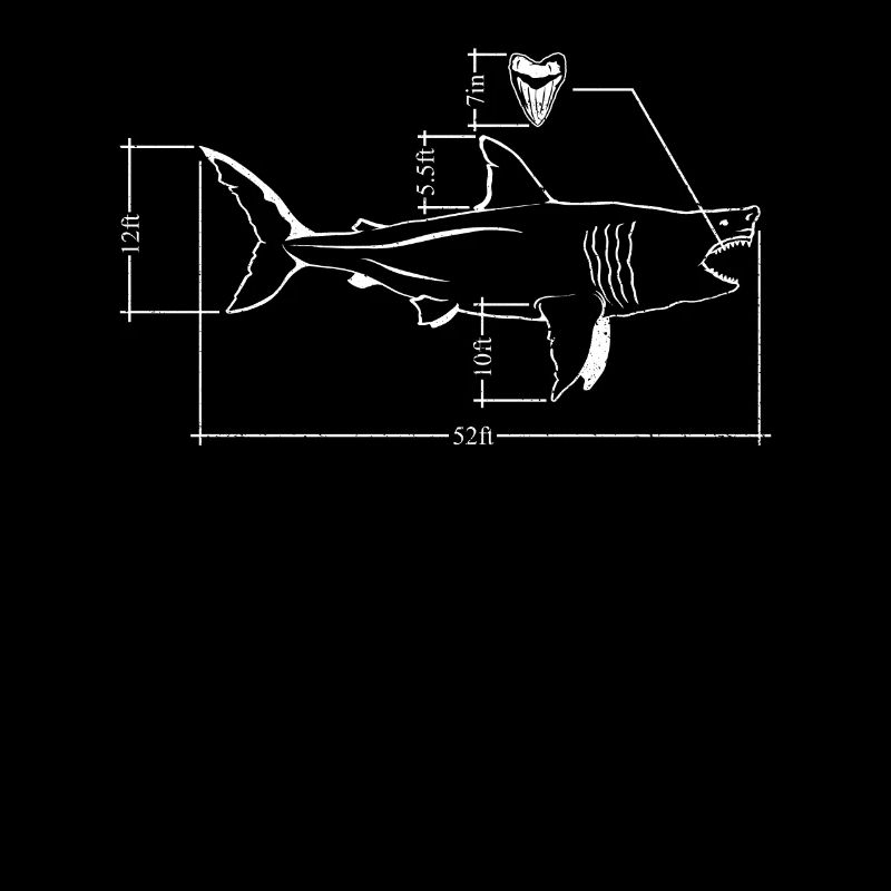 Megalodon Faits Requin Requin