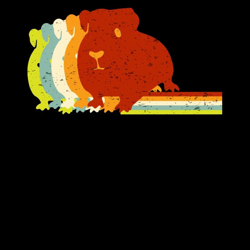 Cochon d’Inde, cochon d’Inde