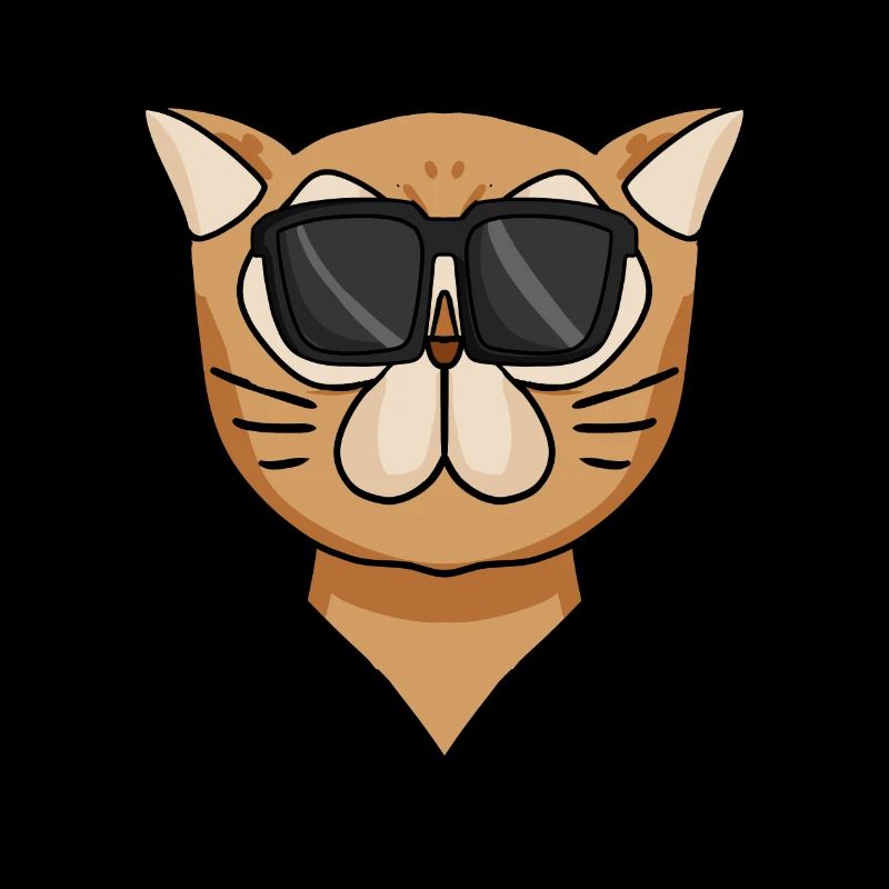 Cool Chat Persan Chat Race Chat