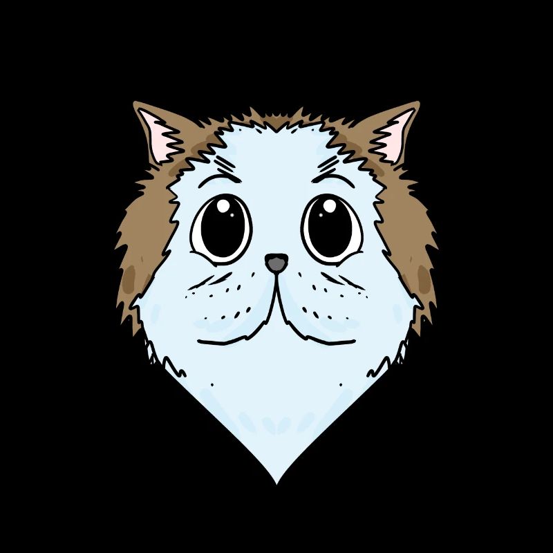 Chat persan Chat Race Chat