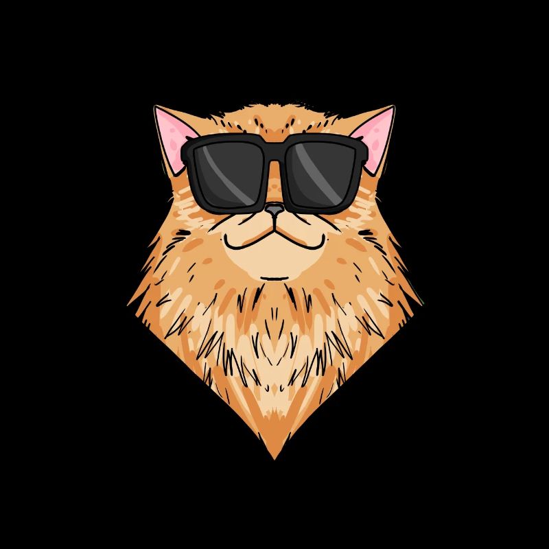 Cool Chat Persan Chat Race Chat