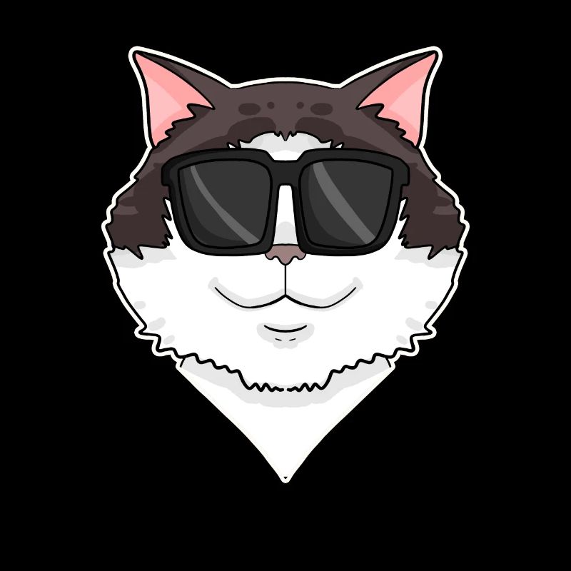 Ragdoll Cat