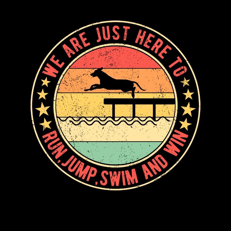 Dock Diving Run, Jump, Swim and Win