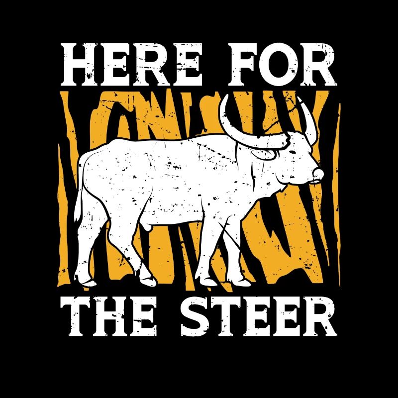 Steer Wrestling ici pour le Steer Tie Down Roping