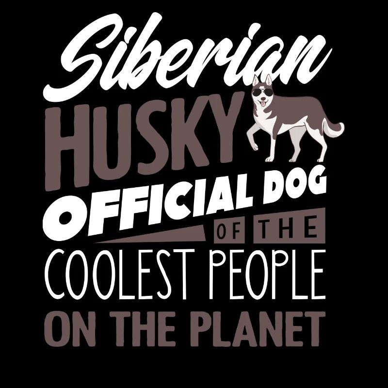 Husky sibérien
