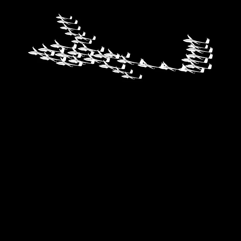 Glider Airplanes Glider