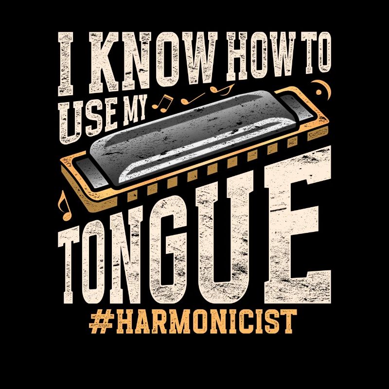 Harmonica harmonica player