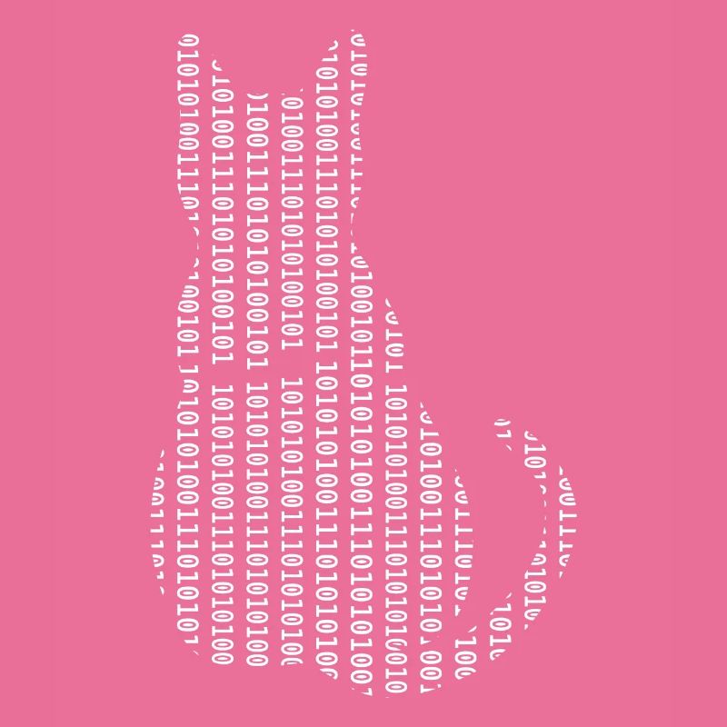 Informaticien Cat Admin Programmeur