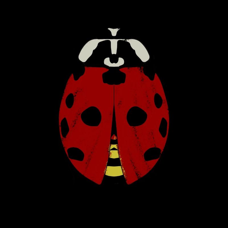 Ladybug Ladybugs