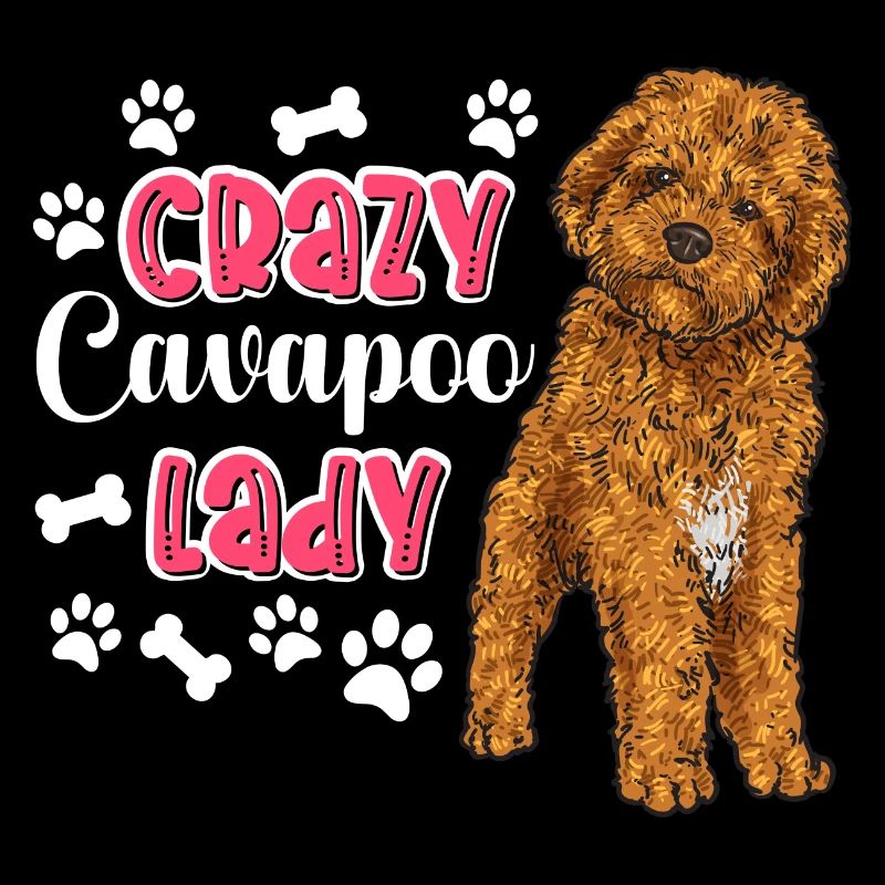 Cavapoo Cavoodle Capoodle Dog