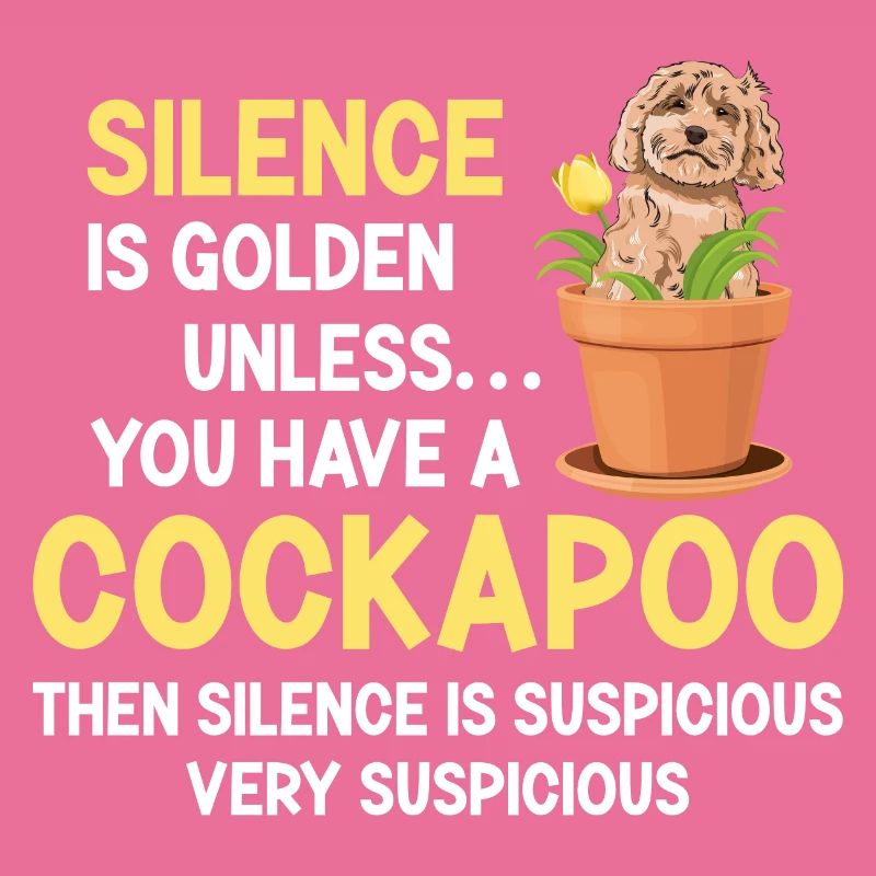 Cockapoo Chien