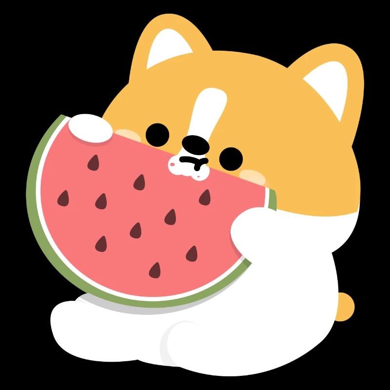 Corgi Welpe Wassermelone