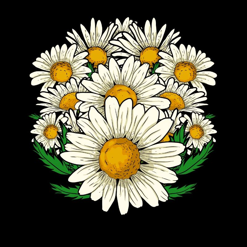 Botanic Garden Daisy Gift Botany