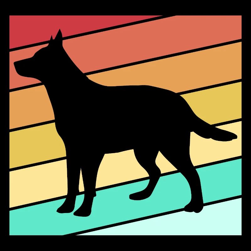 Bouvier australien chien