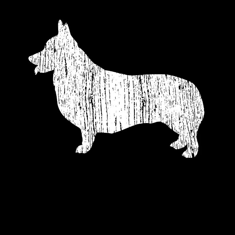 Corgi