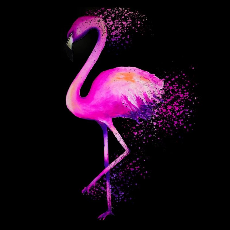 Flamingo Vogel rosa colorful bird bunt Geschenk