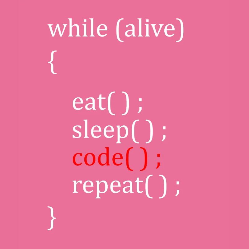 Computer Scientist Hobby