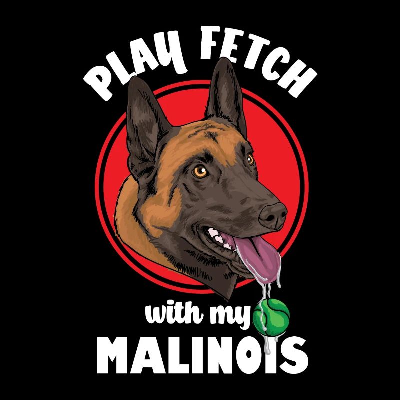 Belgian Malinois