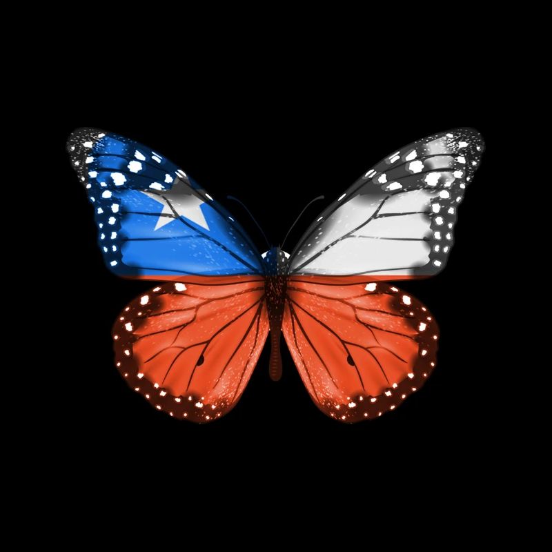 Papillon Drapeau Du Chili