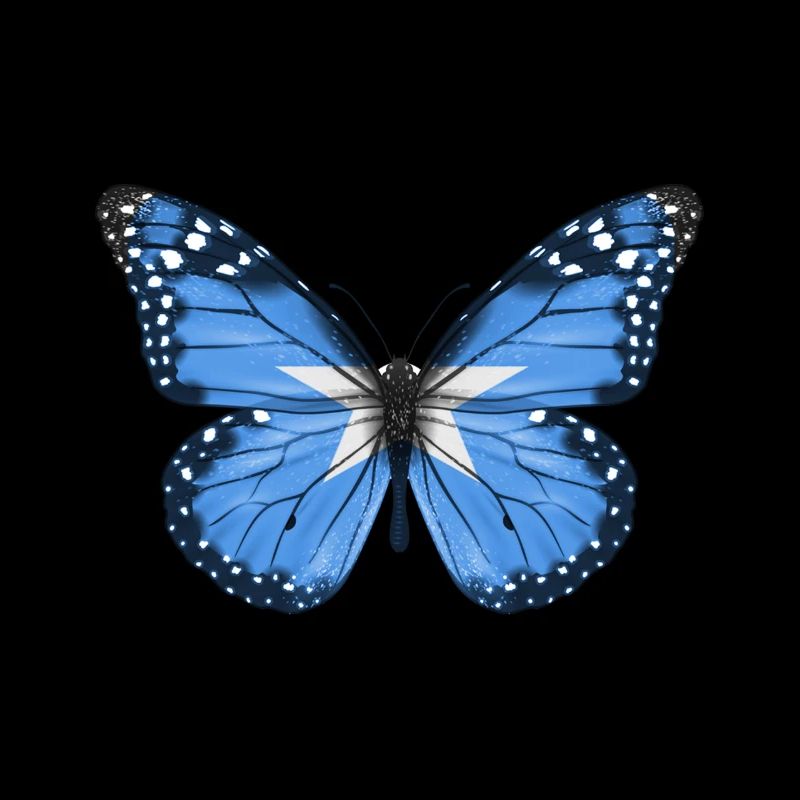 Papillon Drapeau De La Somalie