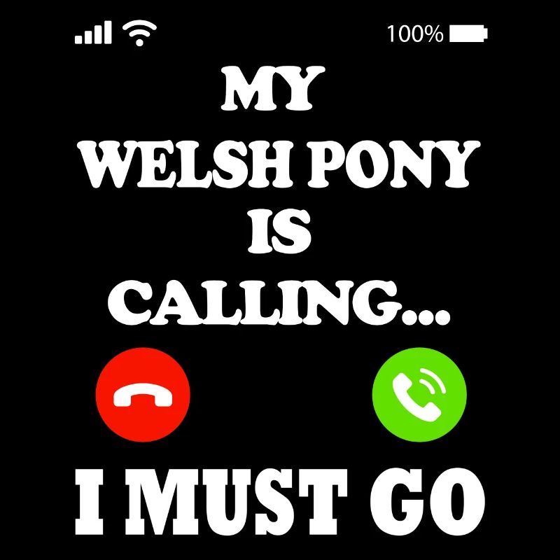 Mon poney Welsh appelle