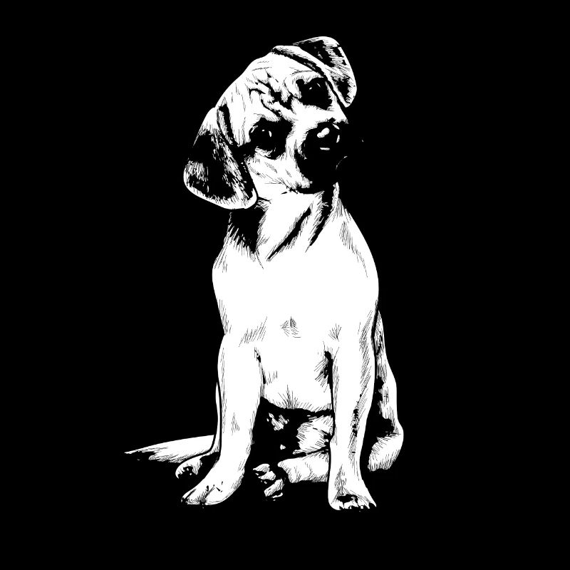 Puggle Beagle Pug