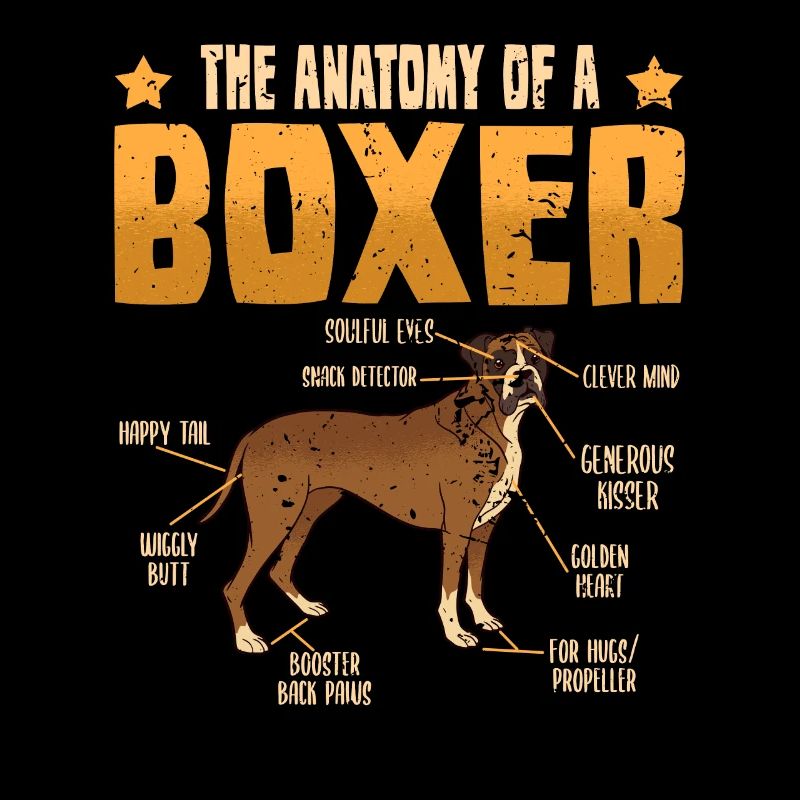 Hund Lustig Boxer Hundebesitzer Anatomie Geschenk