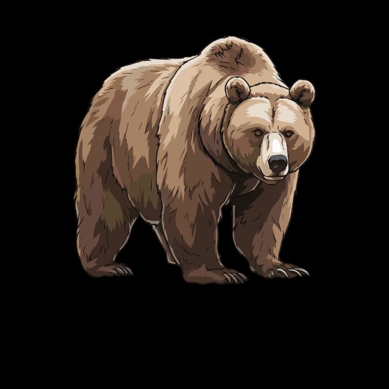 Grizzly Bear Brown Bear