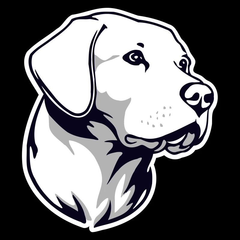 Labrador 3col oT