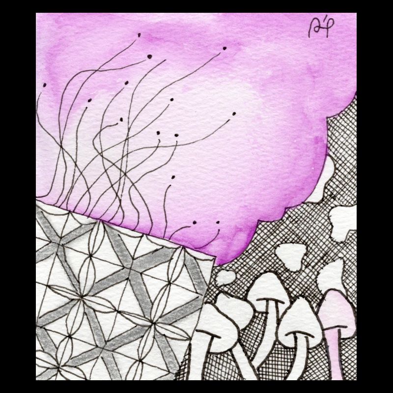 Confusion 38