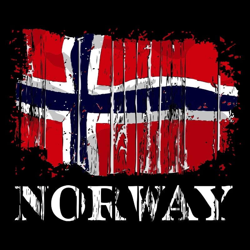 Norway Vintage Flag